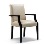 Frame Dining Chair