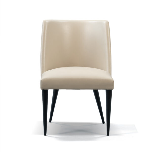 Sleek Dining Chair